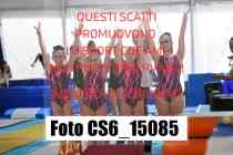 CS6_15085-