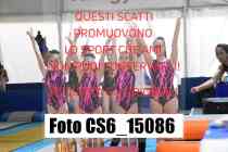 CS6_15086-