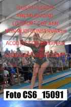CS6_15091-