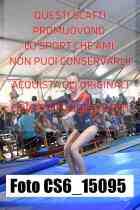 CS6_15095-
