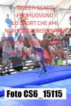 CS6_15115-