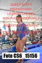CS6_15156-