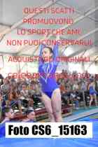 CS6_15163-
