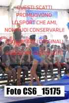 CS6_15175-