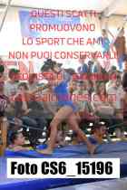 CS6_15196-