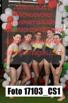 17103_CS1-
