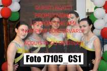 17105_CS1-