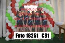18251_CS1-