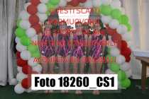 18260_CS1-