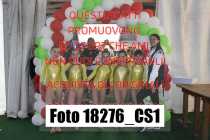 18276_CS1-