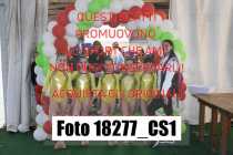 18277_CS1-