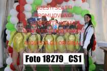 18279_CS1-