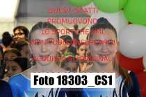 18303_CS1-