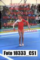 18333_CS1-