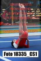18335_CS1-