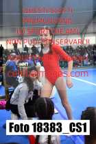 18383_CS1-