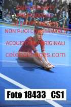 18433_CS1-