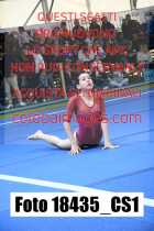 18435_CS1-