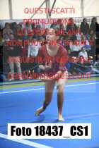 18437_CS1-