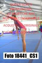18441_CS1-