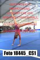 18445_CS1-