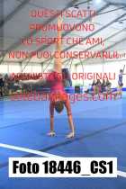 18446_CS1-