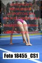 18455_CS1-