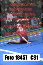 18457_CS1-