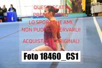 18460_CS1-