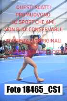 18465_CS1-
