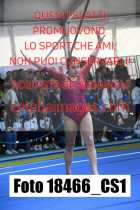 18466_CS1-