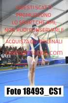 18493_CS1-