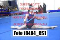 18494_CS1-