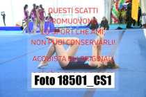 18501_CS1-