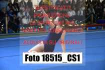 18515_CS1-