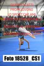 18528_CS1-