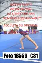 18556_CS1-
