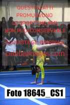 18645_CS1-