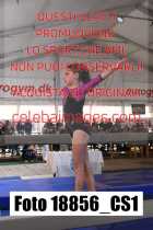 18856_CS1-