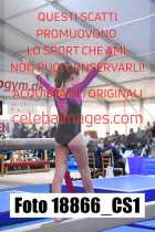 18866_CS1-