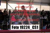 19224_CS1-