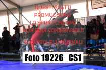 19226_CS1-