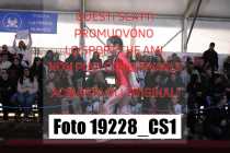 19228_CS1-