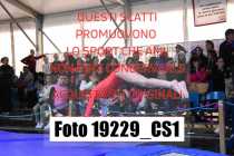 19229_CS1-