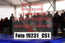 19231_CS1-