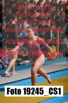 19245_CS1-