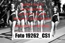 19262_CS1-