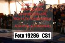 19286_CS1-