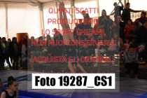 19287_CS1-