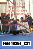 19364_CS1-